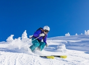 九游体育APP下载-1.红魔狂潮，比利时如何用团队风暴横扫瑞士，而伊布用个人神迹统治了另一片天空