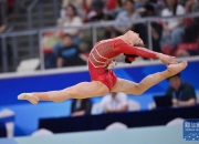 九游app下载-体操比赛女选手优雅表演，完美摘得金牌的简单介绍