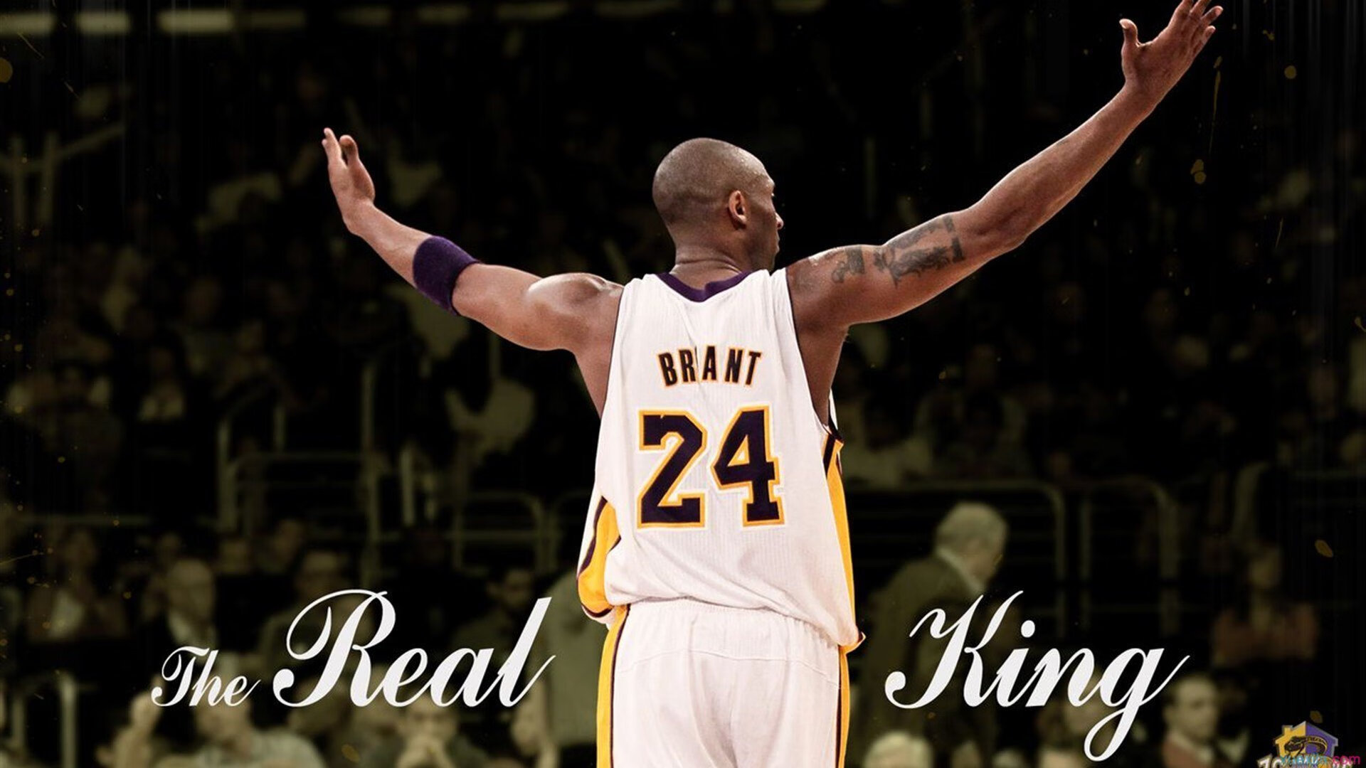 班凯罗，撕裂风城的年轻君王，步行者新王于芝加哥加冕