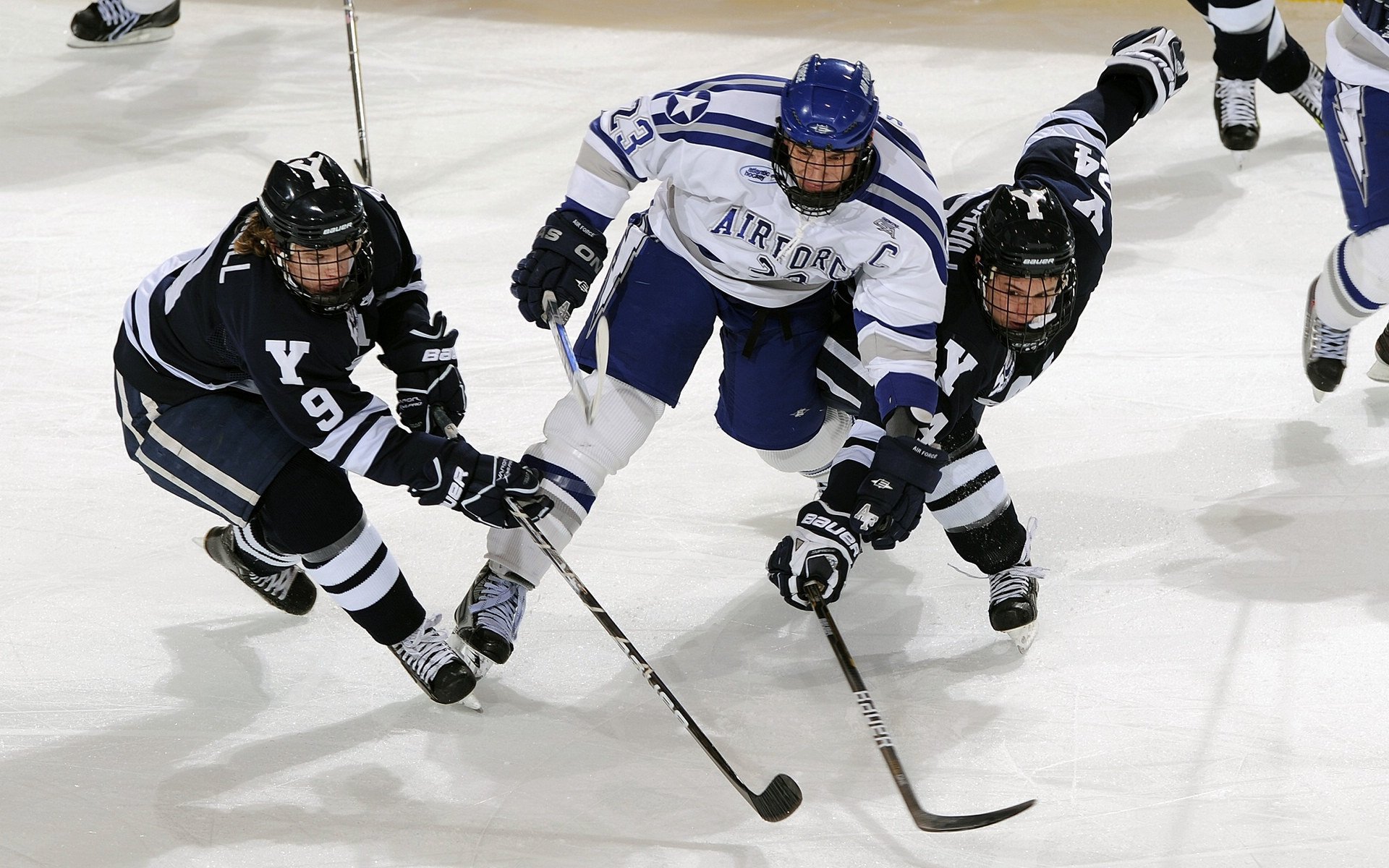 当灰熊跨洋收割吉林,一场跨越万里的篮球文化误读